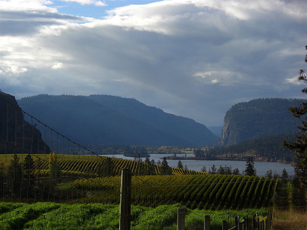 Bighorn Ridge Guesthouse Okanagan Falls Exterior photo